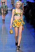Spring - Summer 2012 Collection of D&G - Women's Wear - Fashion