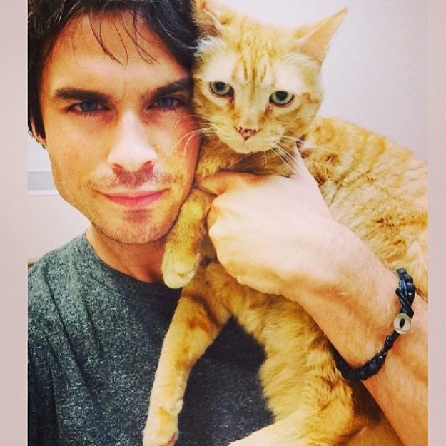 Hot Celebs With Cats