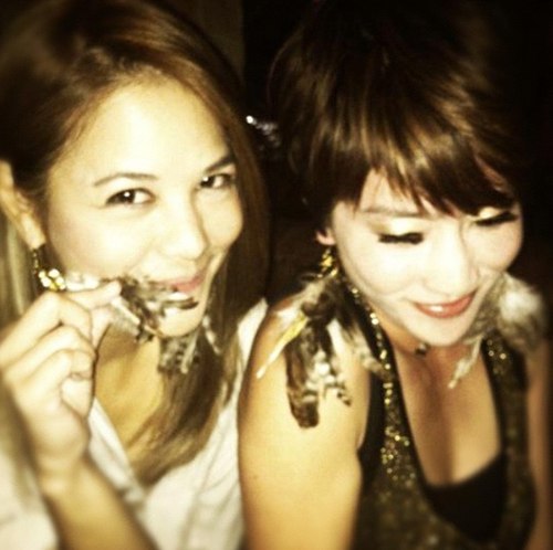 ต่างหูขนนก พวงระย้า เทรนท์ฮอตฮิตของเหล่าดารา