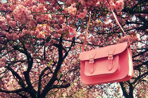 กระเป๋า Cambridge Satchel 