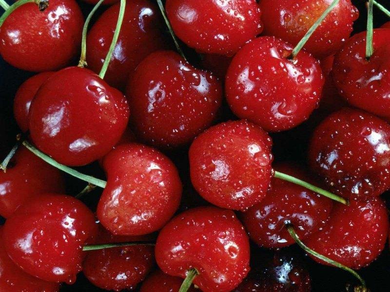 ผักผลไม้สีแดง สีสันสดสวย น่ากิน มีสารต้านอนุมูลอิสระ - สุขภาพ - ความงาม - ผักผลไม้ - ผลไม้สีแดง - ผักผลไม้สีแดง - สารต้านอนุมูลอิสระ - ป้องกันโรค